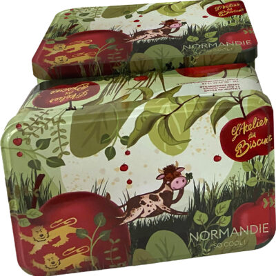 Boite métal version Terre