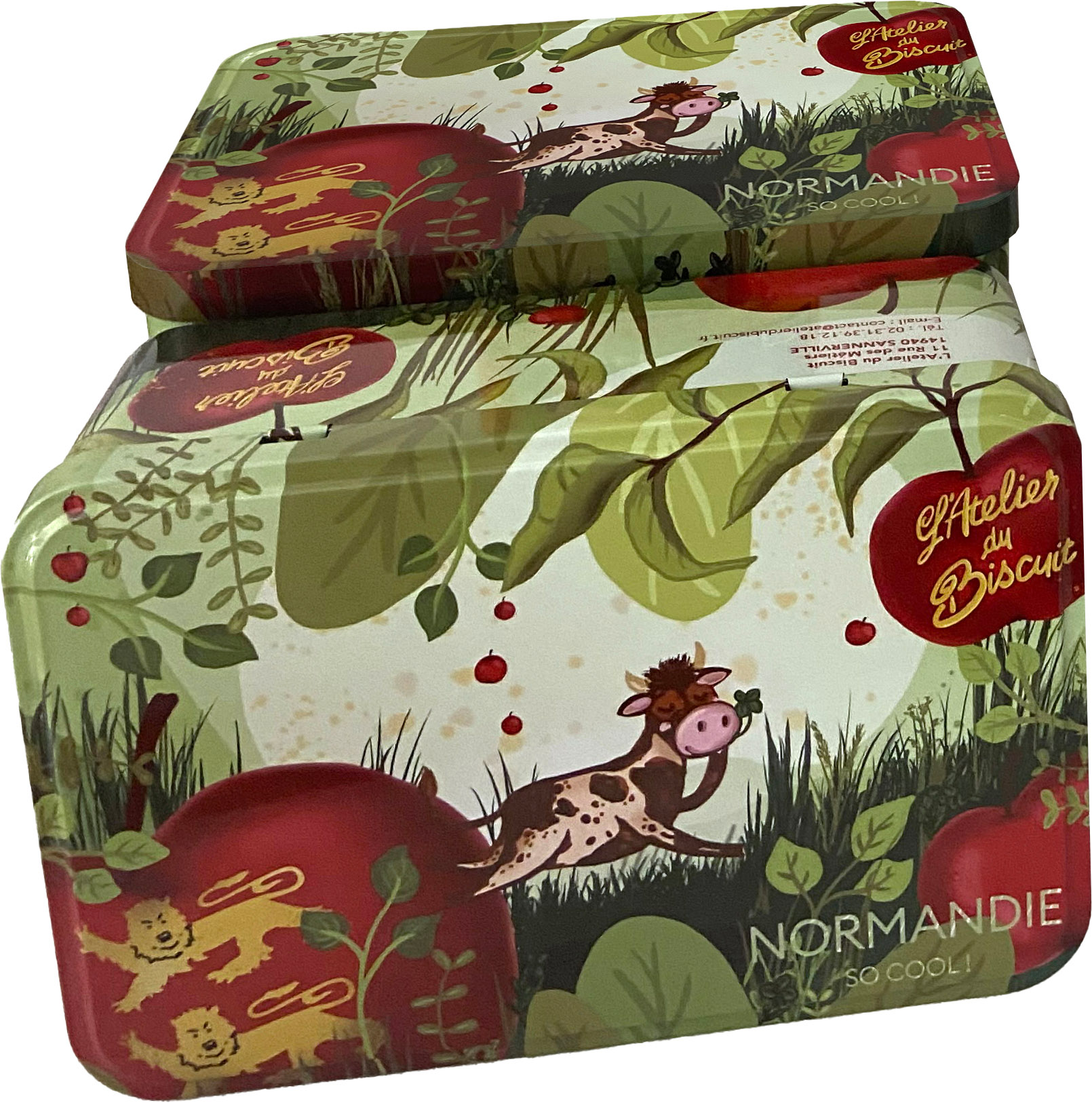 Boite métal version Terre